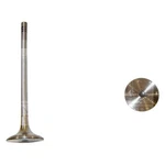 For Volkswagen Jetta 2000-2005 Dnj Engine Components EV800 Exhaust Valve. Fixed Price $13.32.