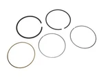 Delco 26FH28G Piston Ring Fits 2007-2010 Cadillac Escalade. Fixed Price $29.67.