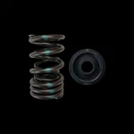 Brian Crower BC0040SX Spring/steel Retainer Kit For Honda K20A/K20Z/F20C/F22C. Fixed Price $339.00.