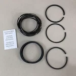 Mahle Engine Piston Ring Set Ford 41940. Fixed Price $236.32.