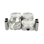 Dnj P434.20 Piston Set .50MM Fits 1999-2001 Mazda Protege. Fixed Price $114.99.