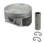 Piston-individual Pkg Sealed Power WH831CP. Fixed Price $48.82.
