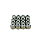 Dnj VSS217 Engine Valve Stem Oil Seal Set. Fixed Price $22.99.