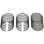 Sealed Power E229K30 Moly Piston Ring Set. Fixed Price $47.66.