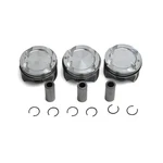 Pistons Rings Set Std Cr 11:1 Fit For Bmw 118I 218I 220I Mini F55 F56 F57 1.5T. Fixed Price $284.00.