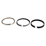 Npr Piston Set. Fixed Price $41.58.