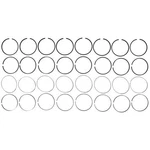 42160 Engine Piston Ring Set For Mahle. Fixed Price $436.82.