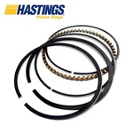 Hastings Piston Rings Standard 2M4754. Fixed Price $151.05.