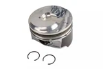 Genuine Gm Engine Piston Kit 12656877. Fixed Price $27.20.