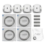 New Gm 12683595 Oem 2010-2013 Chevy Equinox 2.4L Lea, Laf Engine Piston Set. Fixed Price $275.00.