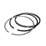 Total Seal CS9190-65 Rings 4.315 1/16 3/1. Fixed Price $375.68.