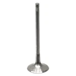 For Volkswagen Jetta 2006-2013 Trw 331125 Intake Valve. Fixed Price $28.13.
