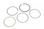 Genuine Gm Engine Piston Ring Kit 12608615. Fixed Price $28.63.