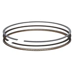 Total Seal MSG3690 Advanced Top Rings, 4.000 Bore, 1/16X1/16X3/16. Fixed Price $530.57.