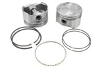 Engine Piston Kit-set Itm RY6791-STD. Fixed Price $339.46.