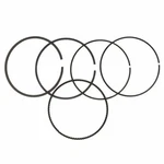 Genuine Ford Engine Piston Ring BL3Z-6148-C. Fixed Price $37.47.