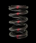 Brian Crower BC1030-24 Dual Valve Springs For Honda Acura C30A C32B Nsx. Fixed Price $411.00.