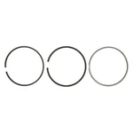 Ford F-250 Super Duty 2008-2010 Mahle S42097.030 Premium Piston Ring Set. Fixed Price $43.04.