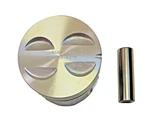 Engine Piston Sealed Power H816CP Std Ford, Mercury. Fixed Price $44.99.