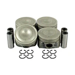 Dnj Engine Piston Set P313. Fixed Price $126.65.