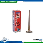 Dnj EV800A Exhaust Valve For 97-06 Audi Volkswagen A4 Quattro 1.8L-3.0L Dohc 30V. Fixed Price $15.99.