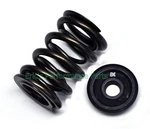 Brian Crower BC0090S Dual Valve Springs Steel Retainers For Honda C30A C32B Nsx. Fixed Price $668.57.