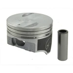 Cast Piston Sealed Power H435P. Fixed Price $54.77.