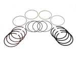 2009 Ford F350 Super Duty Piston Ring Hastings 84355ZGYV 6.8L V10 Vin:. Fixed Price $95.14.