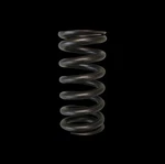 Brian Crower BC1350 Valve Springs For Toyota 2ZZ-GE Celica Corolla Lotus Elise. Fixed Price $110.12.