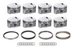Bullet Gm F/t W/rings 3.905 Bore- BLS1112-007-SET. Fixed Price $1030.67.