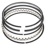 Total Seal MS9150-5 Gapless Race Piston Ring Set. Fixed Price $530.57.