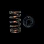 Brian Crower Steel Spring And Retainers For 2004-2021 Subaru Wrx Sti BC0600S. Fixed Price $180.00.