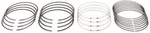 Engine Piston Ring Set Mahle 41914. Fixed Price $67.13.