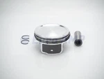 Jaguar Land Rover Piston Assembly Std (w/rings) AJ133 5.0 V8 Supercharged Engine. Fixed Price $72.60.
