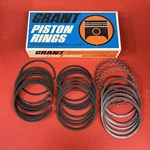 Grant 3815 Std Engine Piston Rings For 1975-1976 Chevrolet 4.3L. Fixed Price $34.99.