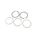 89017484 Ac Delco Piston Ring Sets For Chevy Savana Express Suburban. Fixed Price $51.21.