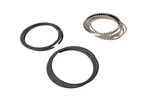 Hastings Piston Rings Fits 1988-95 Ford F53 F59 Mercury Cougar Model Number 4262. Fixed Price $55.00.