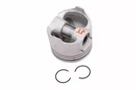 Genuine Acdelco Engine Piston 12550059. Fixed Price $194.50.