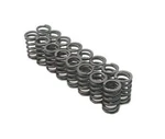 Brian Crower BC1220 Valve Spring (nissan VQ35DE Single). Fixed Price $198.98.