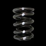 Brian Crower BC1010 Dual Valve Springs For Nissan KA24DE + Honda B16A B17A B18C. Fixed Price $274.00.
