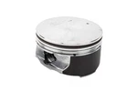 Engine Piston. Fixed Price $162.99.