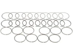 Hastings 94PV32Q Piston Ring Fits 2009 Ford F350 Super Duty 6.8L V10 Vin:. Fixed Price $93.67.