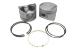 Engine Piston Kit Itm RY6121-020. Fixed Price $48.13.