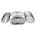 68001386AA Piston Ring Set For Jeep Wrangler Dodge Grand Caravan Town & Country. Fixed Price $156.11.