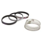Sealed Power Piston Ring Set 4.185 1/16 3/16- R1024865. Fixed Price $209.87.