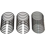 Sealed Power Performance Piston Ring Set E-300K30. Fixed Price $129.99.