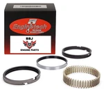 Chevrolet Gmc 454 7.4 Bbc Big Block 1991 2000 Enginetech Moly Piston Rings. Fixed Price $97.49.