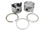 Pistons With Rings Set Itm RY6116-040 2.2L 81-83 Nissan 720 Pickup & 82 200SX. Fixed Price $163.96.