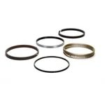 Total Seal MS9010 65 Piston Ring Set 4.185 Gapls Top .043 3MM. Fixed Price $530.57.
