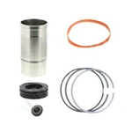 Cylinder Kit With Ring International Trucks W/ DT530E Engines To Match 1833433C1. Fixed Price $598.99.